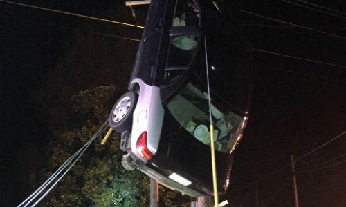A motorist in Tennessee got stranded up a telephone pole recently. We maintain that most professional stunt drivers would have difficulty pulling this one off.