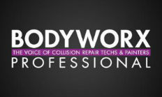 Bodyworx Professional logo.