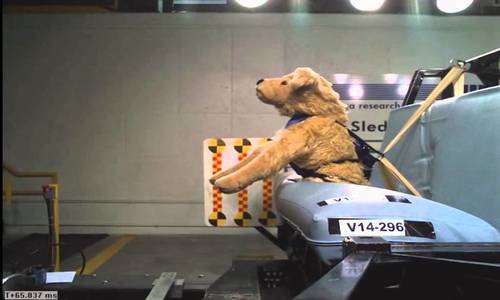 The dog crash test dummy was developed by Solvit Products. 